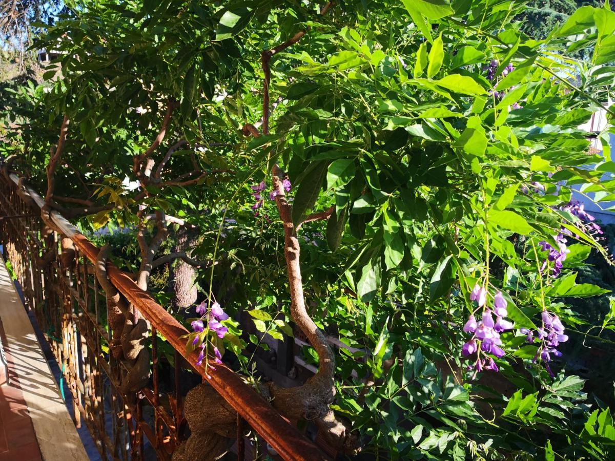 Zia Chiarina Bed & Breakfast San Nicolo Gerrei Luaran gambar