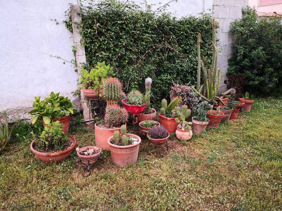 Zia Chiarina Bed & Breakfast San Nicolo Gerrei Luaran gambar