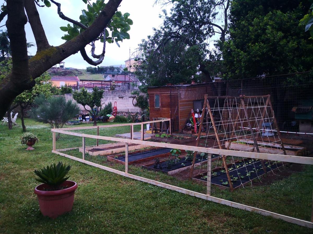 Zia Chiarina Bed & Breakfast San Nicolo Gerrei Luaran gambar