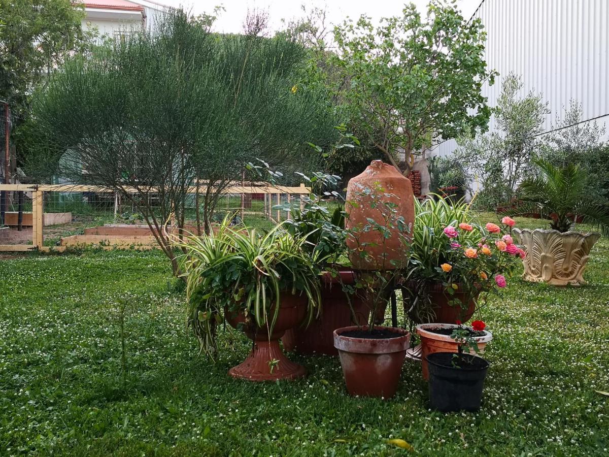 Zia Chiarina Bed & Breakfast San Nicolo Gerrei Luaran gambar