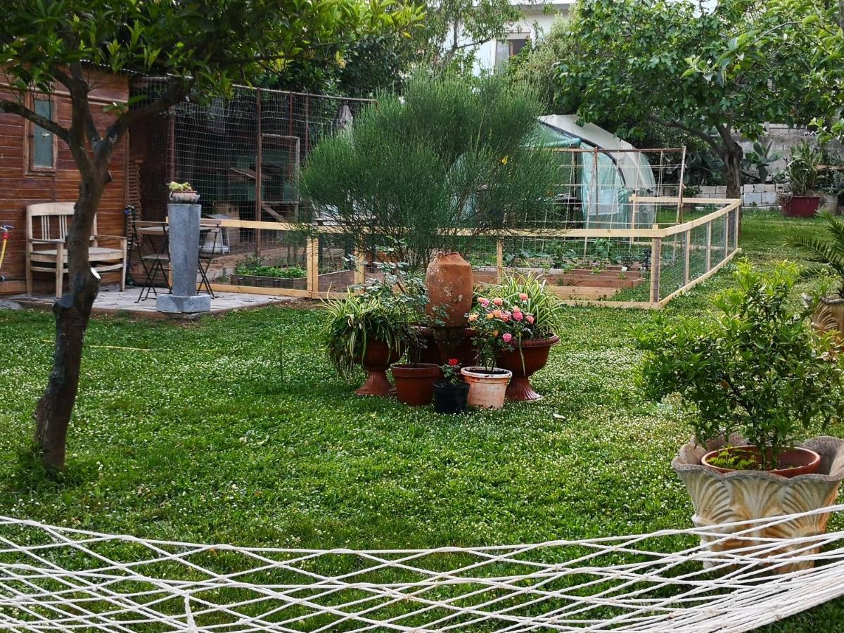 Zia Chiarina Bed & Breakfast San Nicolo Gerrei Luaran gambar