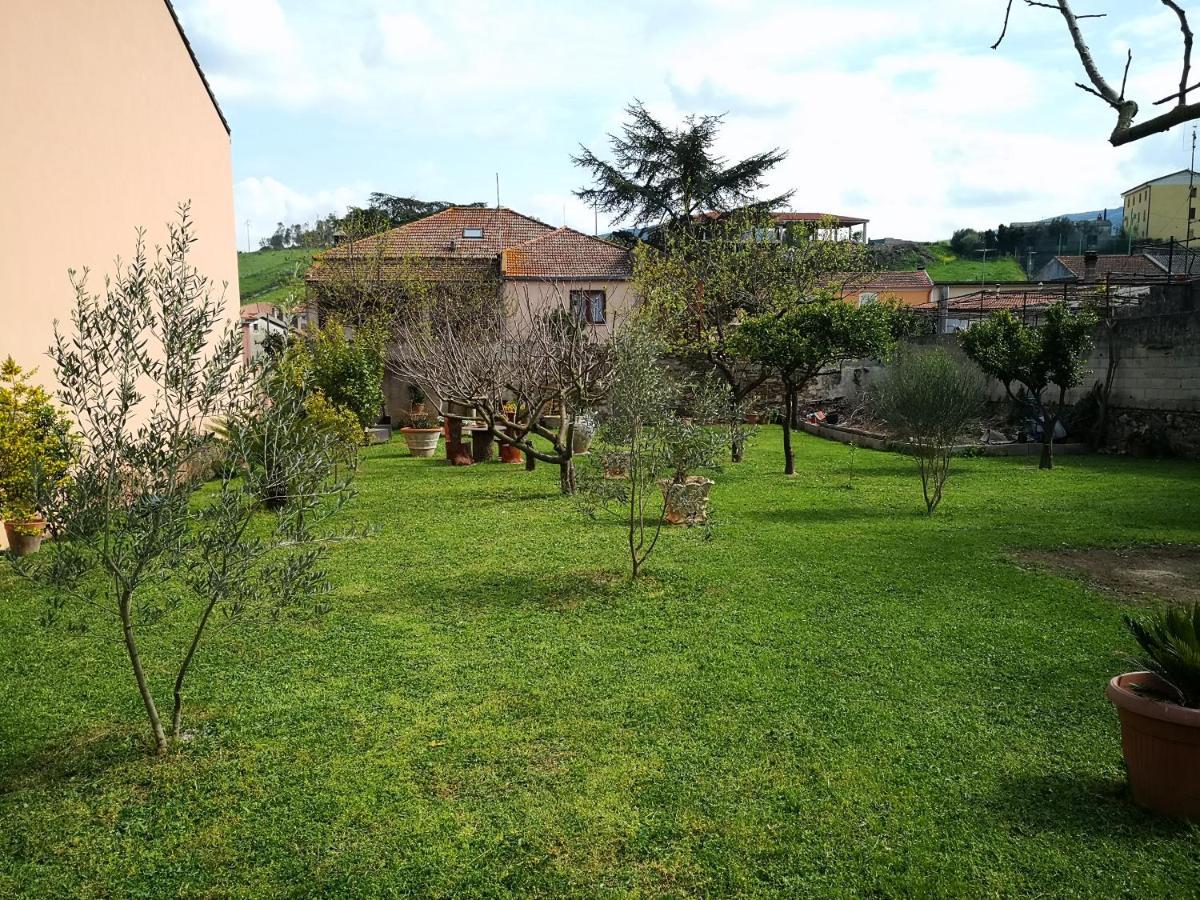 Zia Chiarina Bed & Breakfast San Nicolo Gerrei Luaran gambar