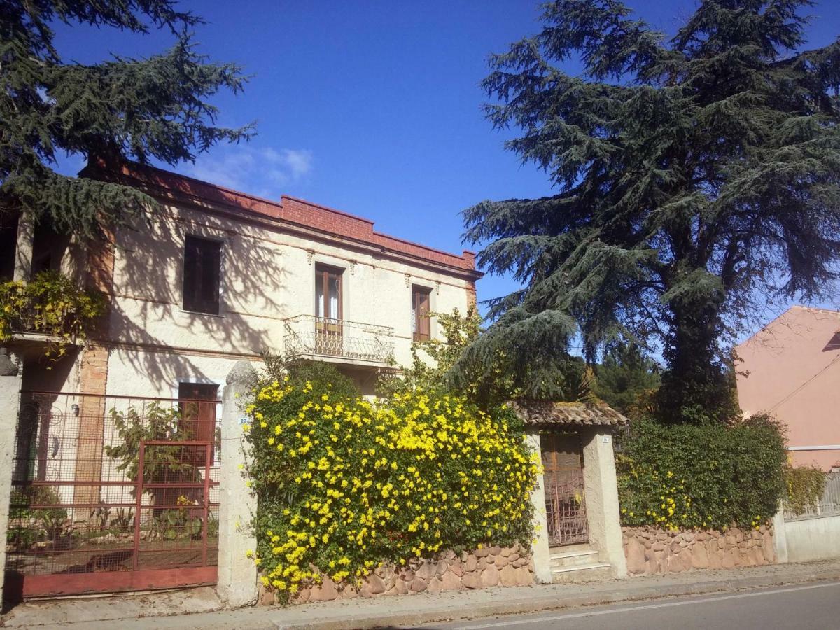 Zia Chiarina Bed & Breakfast San Nicolo Gerrei Luaran gambar