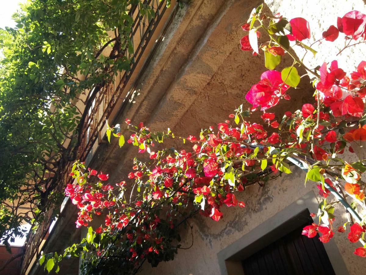 Zia Chiarina Bed & Breakfast San Nicolo Gerrei Luaran gambar