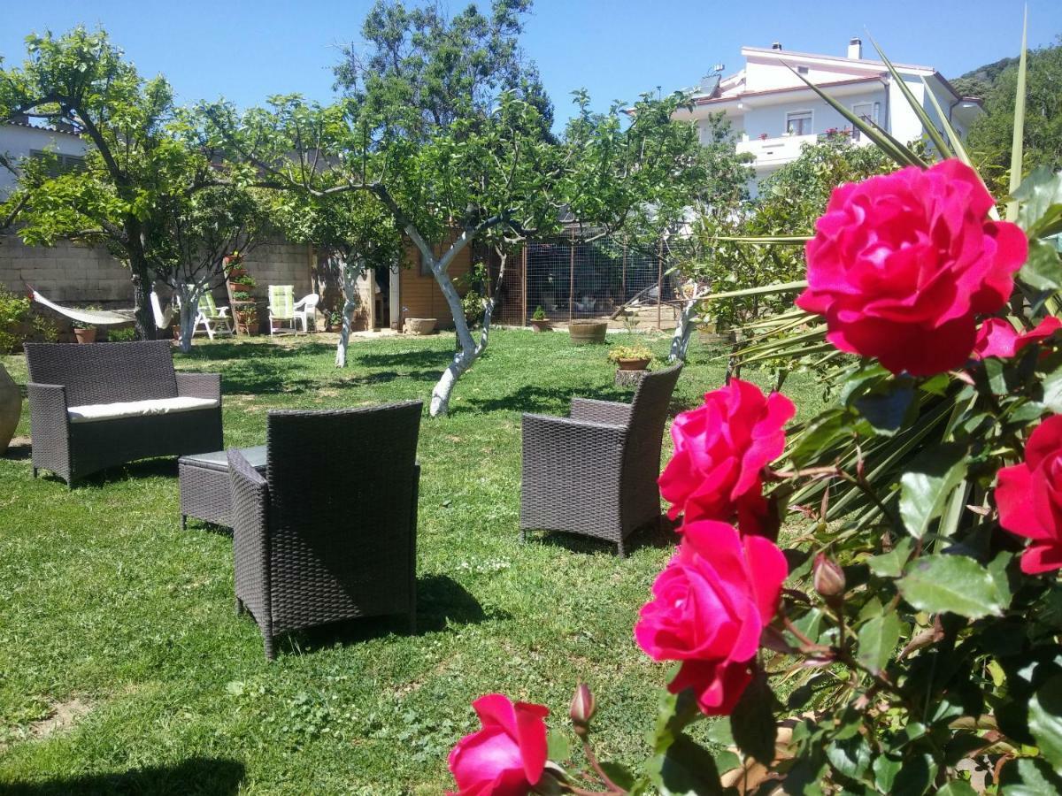Zia Chiarina Bed & Breakfast San Nicolo Gerrei Luaran gambar