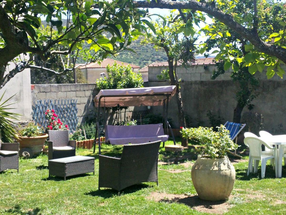 Zia Chiarina Bed & Breakfast San Nicolo Gerrei Luaran gambar