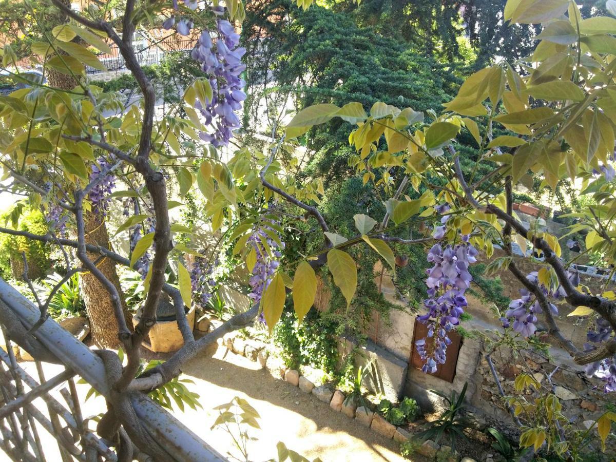 Zia Chiarina Bed & Breakfast San Nicolo Gerrei Luaran gambar