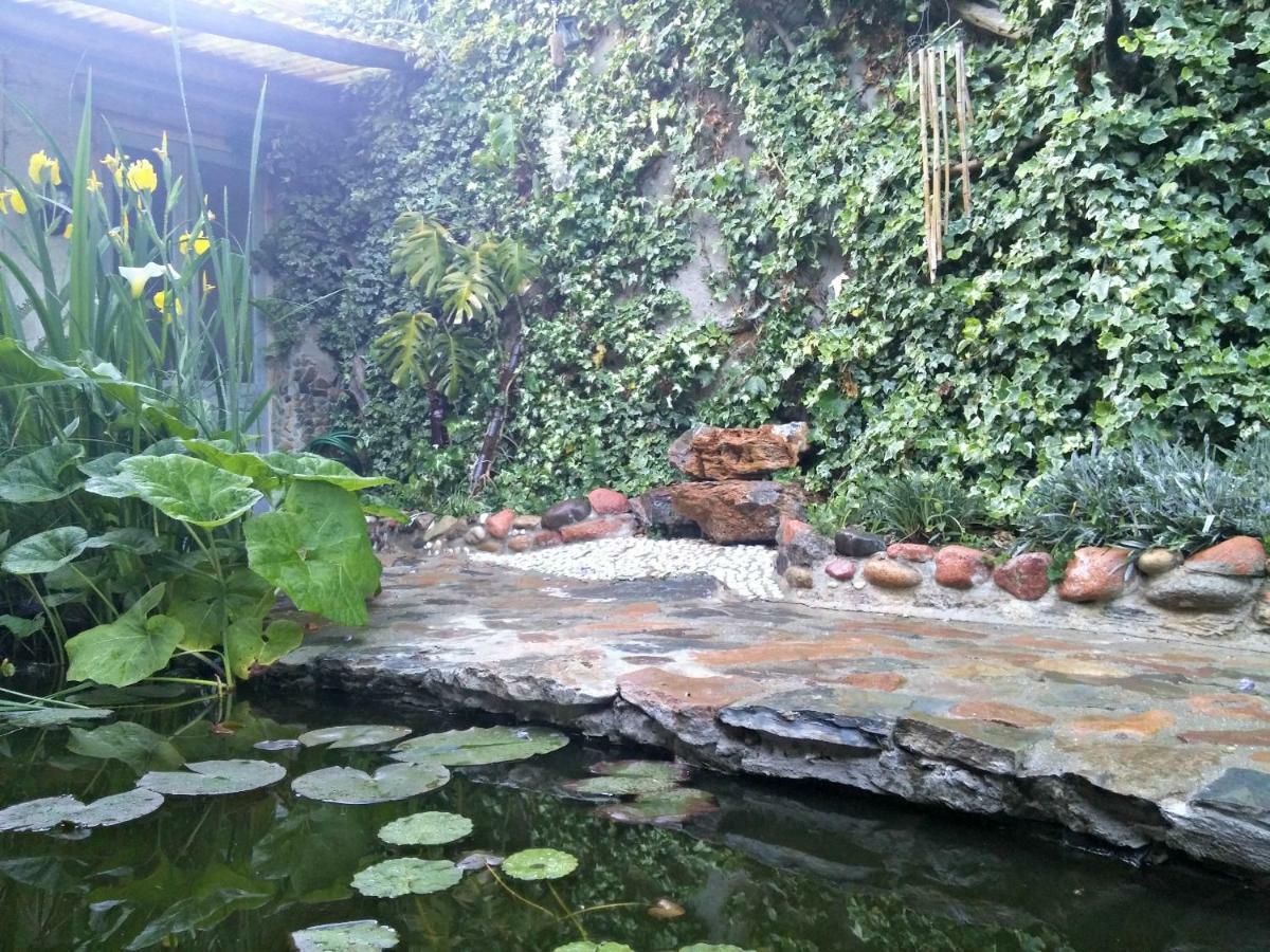 Zia Chiarina Bed & Breakfast San Nicolo Gerrei Luaran gambar
