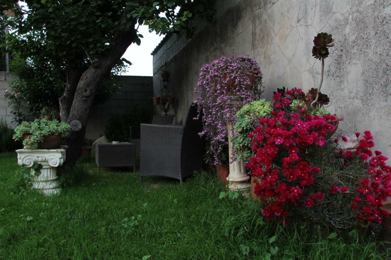 Zia Chiarina Bed & Breakfast San Nicolo Gerrei Luaran gambar